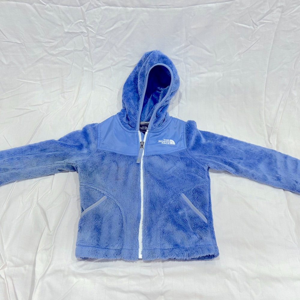 The North Face Oso Hoodie in Purple